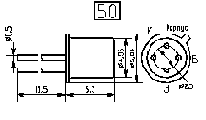  46 